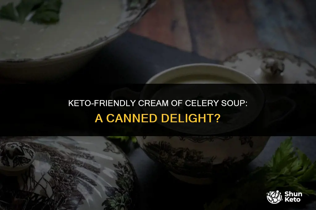 is canned cream of celery soup keto friendly