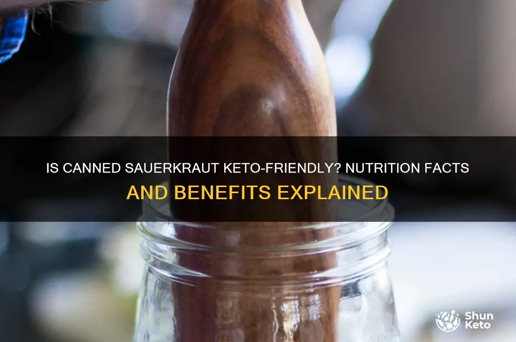 is canned sauerkraut keto