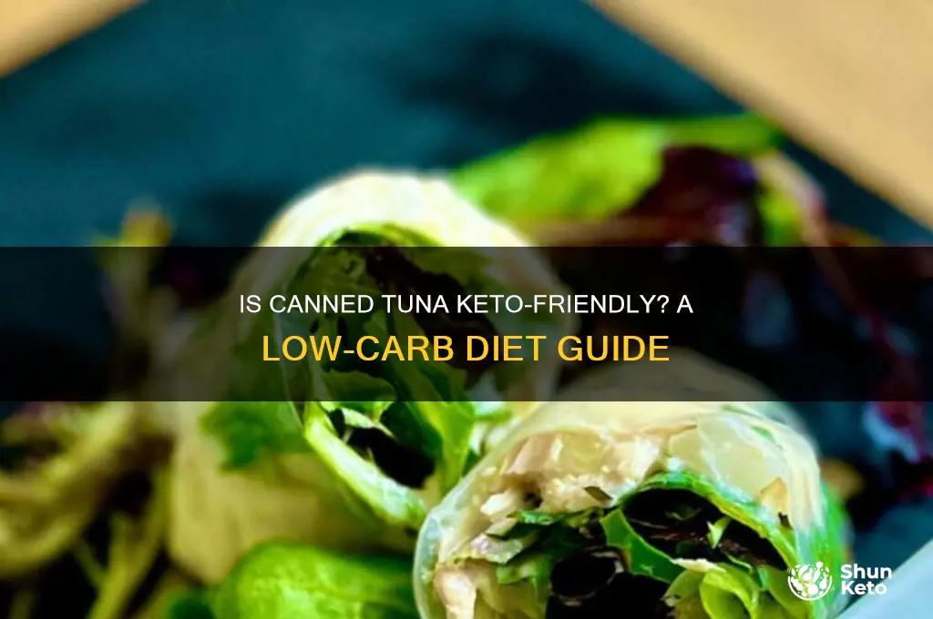 is canned tuna keto approved