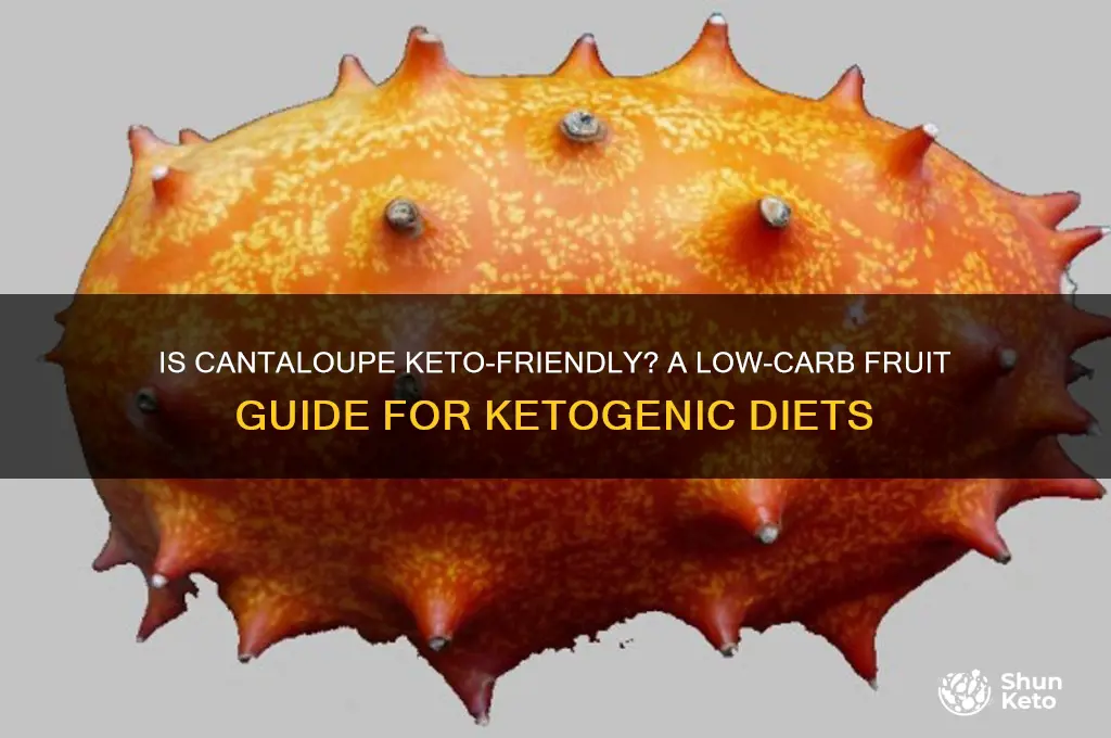 is cantaloupe keto
