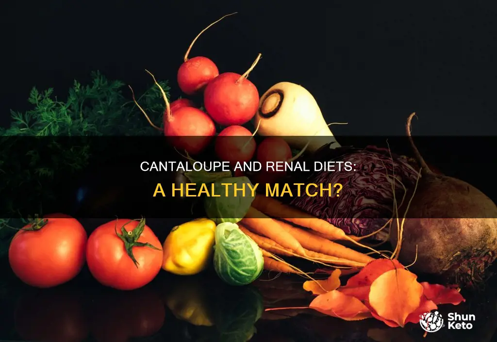 is cantaloupe ok for renal diet