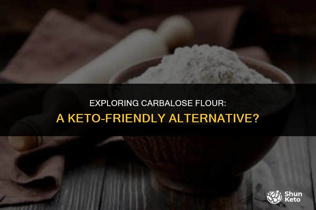 is carbalose flour keto friendly