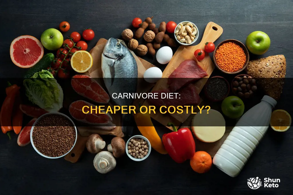 is carnivore diet cheaper