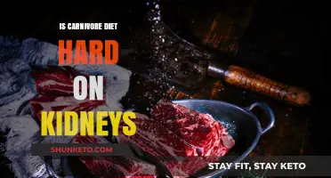 Carnivore Diet: Kidney Health Risks and Benefits