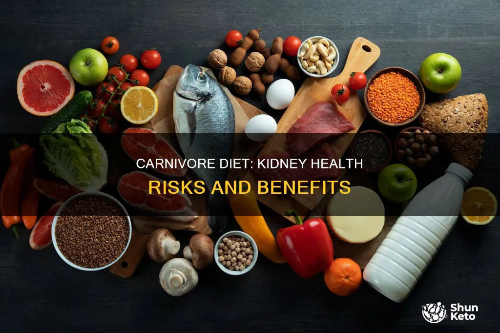 is carnivore diet hard on kidneys