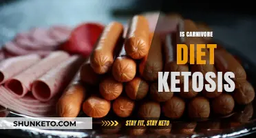 Carnivore Diet: Ketosis and Its Benefits