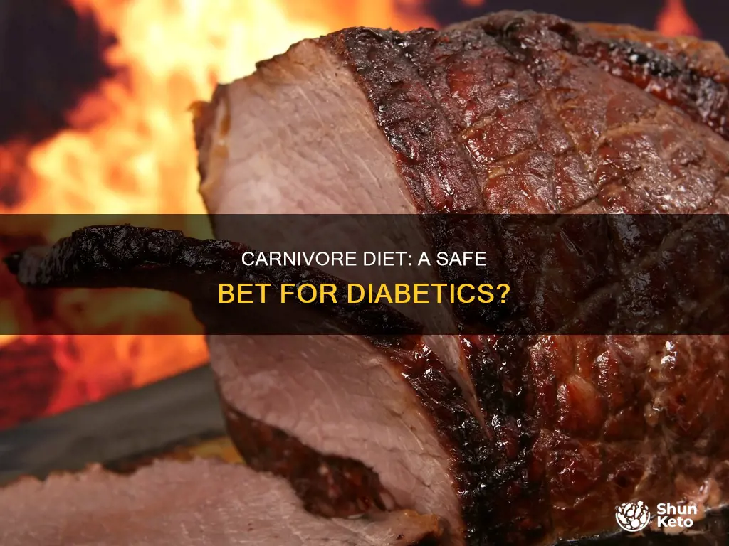 is carnivore diet ok for diabetics
