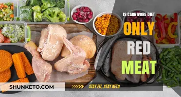Carnivore Diet: Beyond Red Meat
