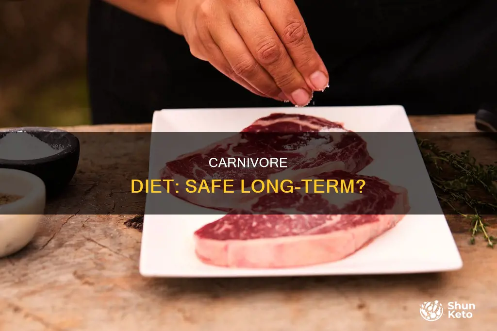 is carnivore diet safe long term
