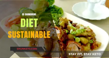 Carnivore Diet: Sustainable or Not?