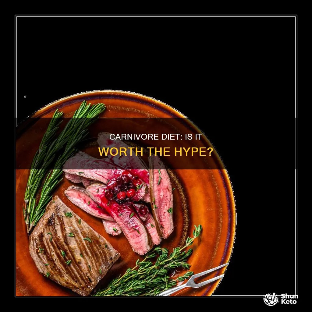 is carnivore diet worth it