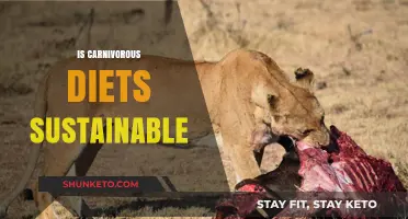 Meat-Based Diets: Sustainable or Not?