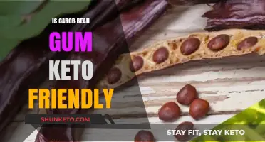 Exploring Carob Bean Gum: A Keto-Friendly Alternative?