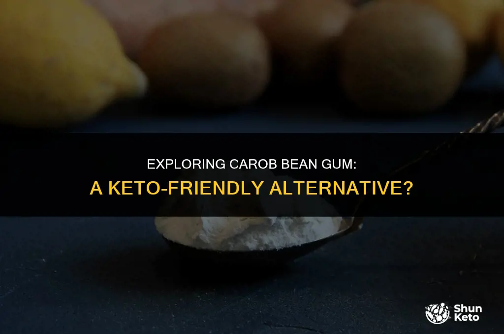 is carob bean gum keto friendly