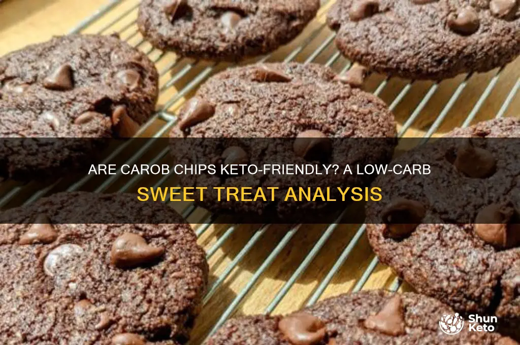 is carob chips keto
