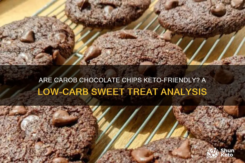 is carob choc chips keto