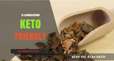 Exploring Carrageenan: A Keto-Friendly Thickener or Not?