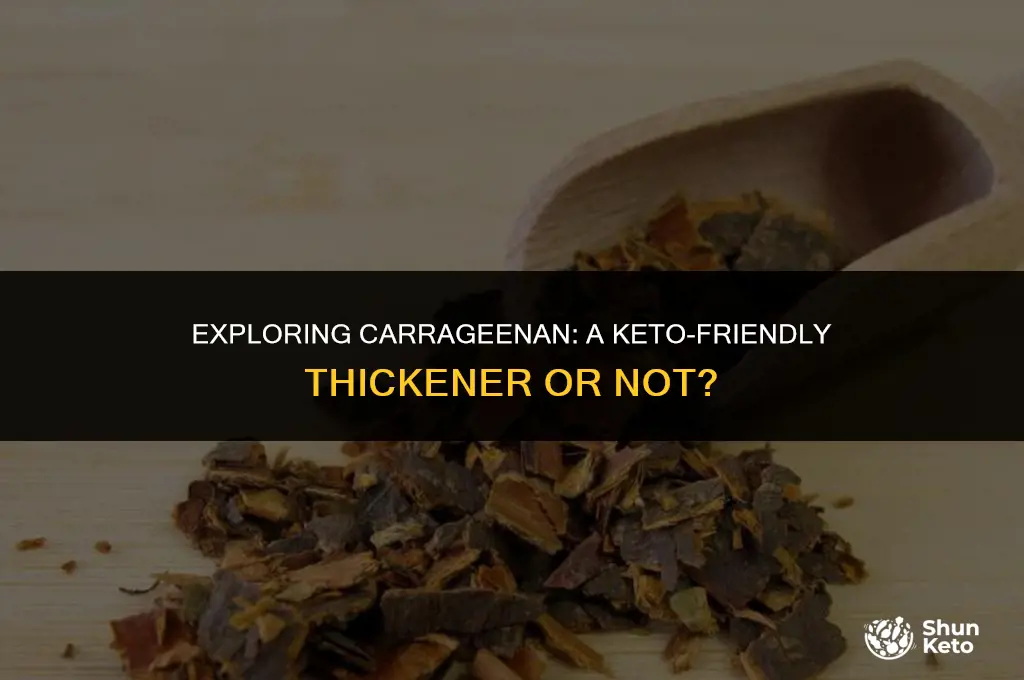 is carrageenan keto friendly