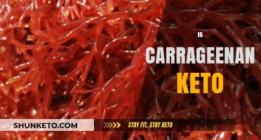 Is Carrageenan Keto-Friendly? Unraveling Its Role in Low-Carb Diets