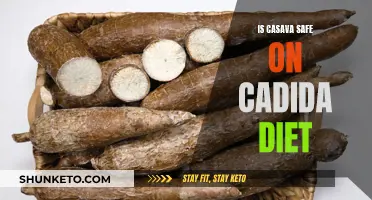 Casava on a Candida Diet: Safe or Not?
