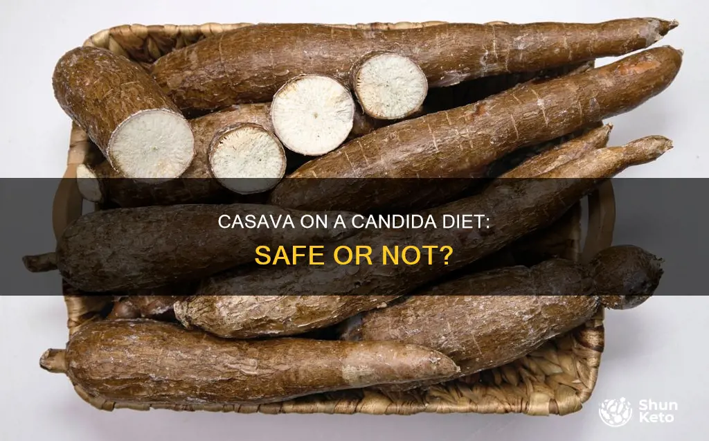 is casava safe on cadida diet