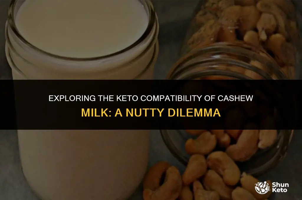 is cashew milk keto friendly