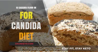 Cassava Flour: Friend or Foe for Candida Diet?