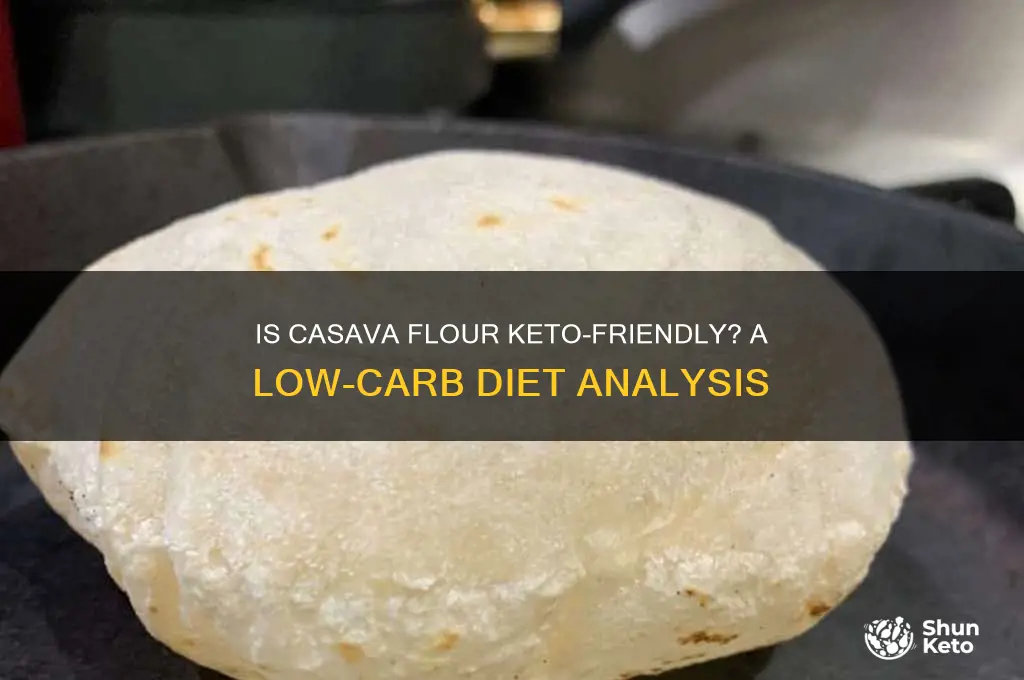is casvanna flour keto