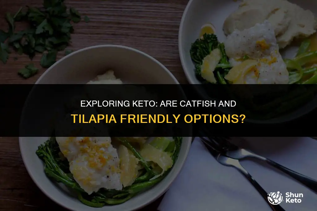 is catfish and tilapia keto friendly
