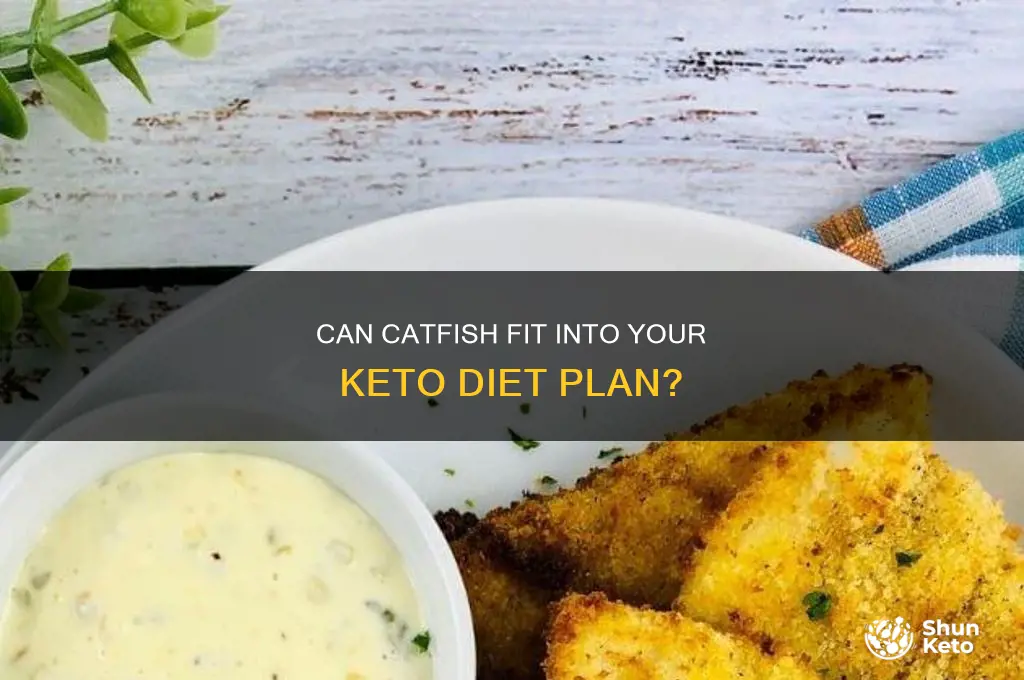 is catfish apart of the keto diet