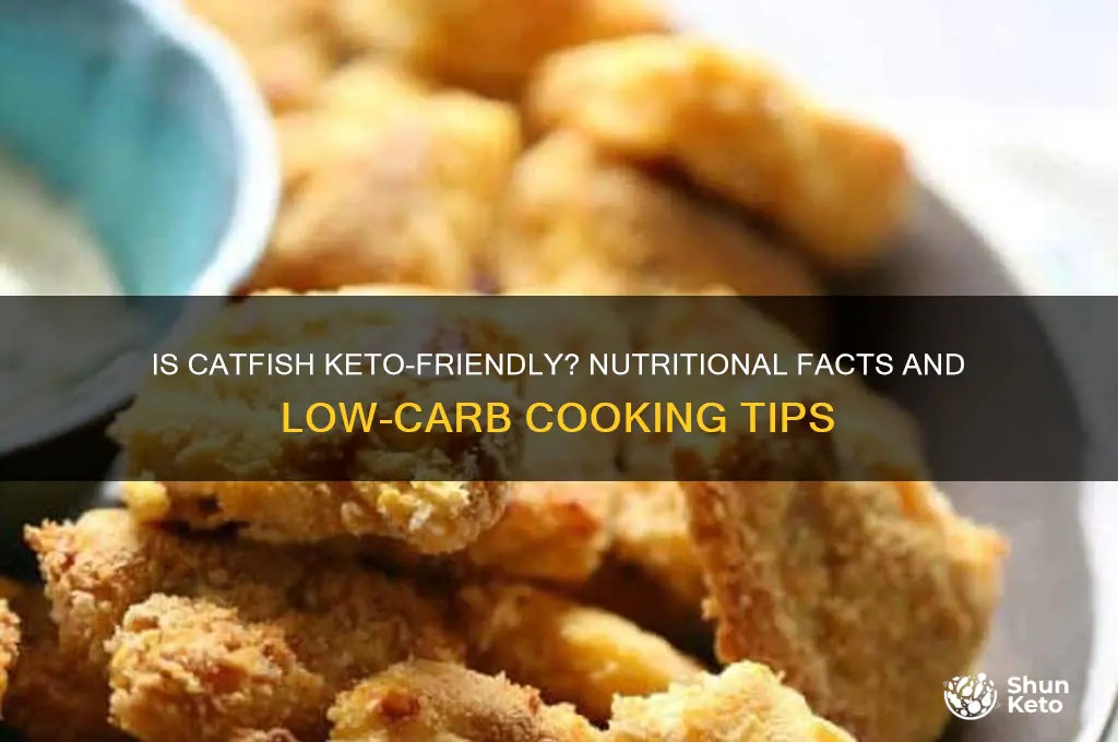 is catfish keto
