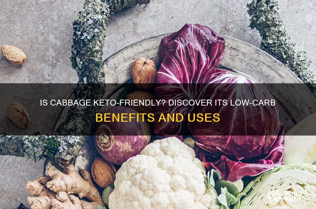 is cavbage keto froendly