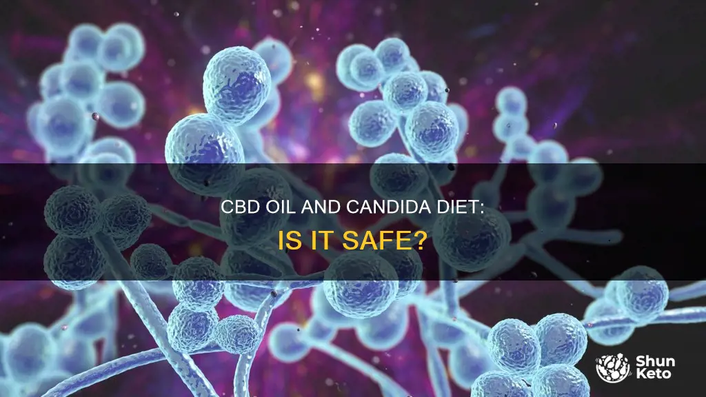 is cbd oil ok for candida diet