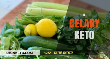 Is Celery Keto-Friendly? A Low-Carb Veggie Guide for Ketogenic Diets