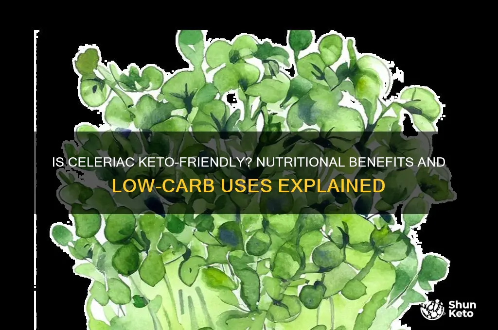 is celeriac keto