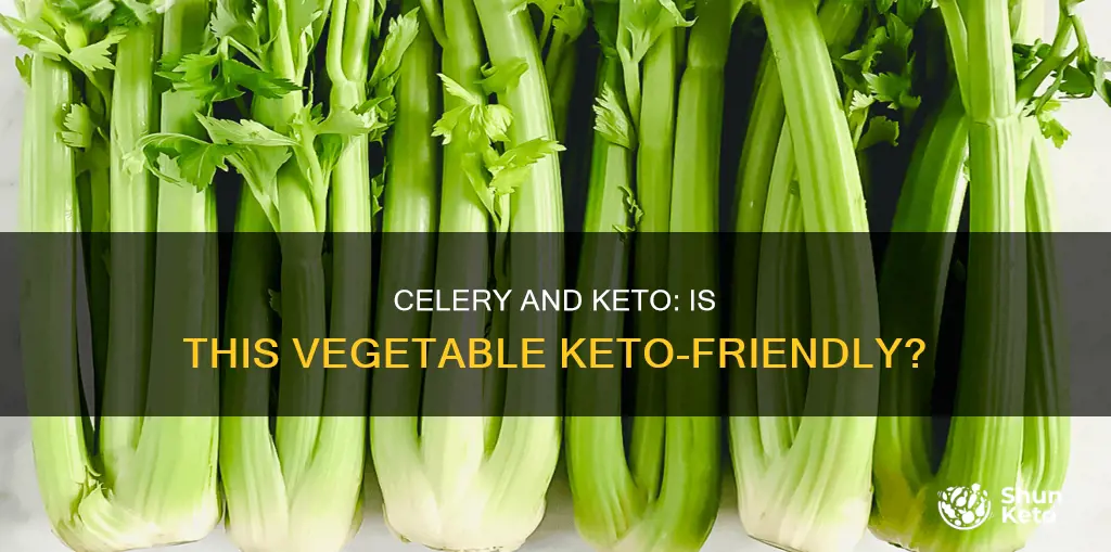 is celery a keto food