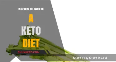 Can You Eat Celery on Keto? A Low-Carb Diet Guide