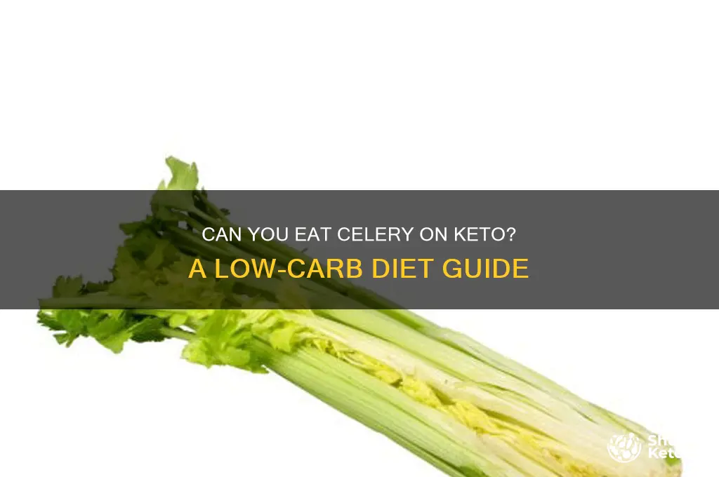 is celery allowed on a keto diet