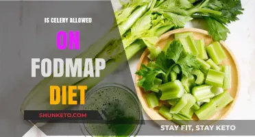 Can You Eat Celery on a Low-FODMAP Diet?