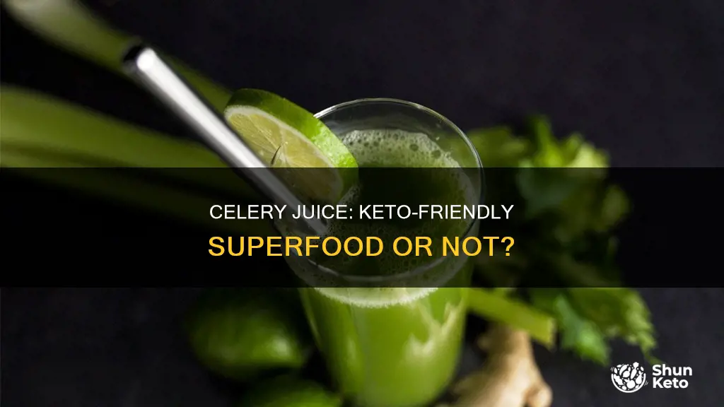 is celery juice keto approved