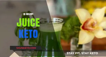 Is Celery Juice Keto-Friendly? Nutrition Facts and Low-Carb Benefits