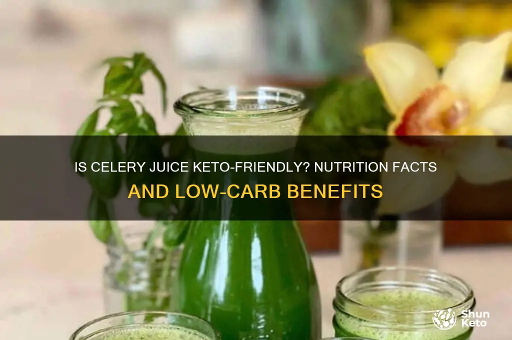 is celery juice keto