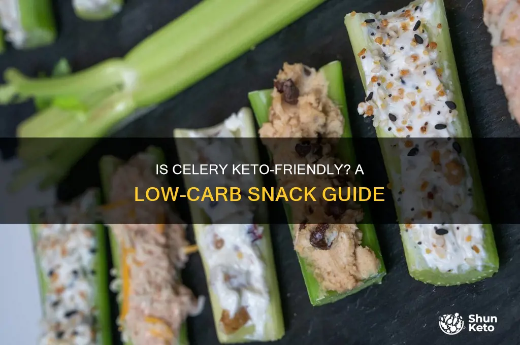 is celery keto friendly to eat