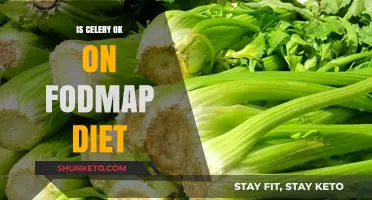 Celery on a Low-FODMAP Diet: Friend or Foe?