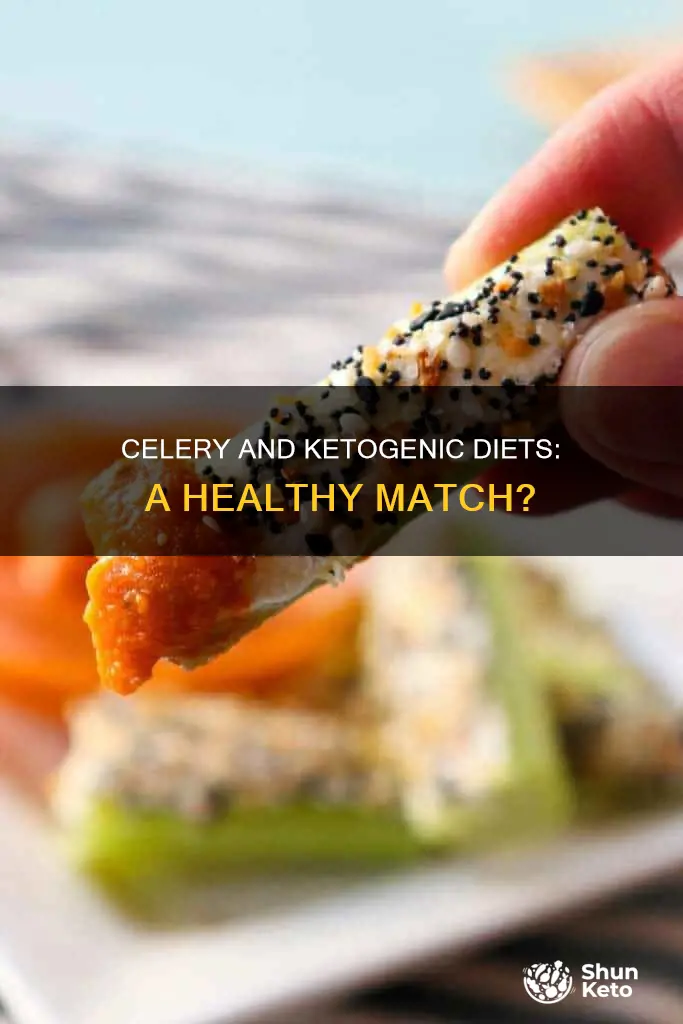 is celery ok on ketogenic diet