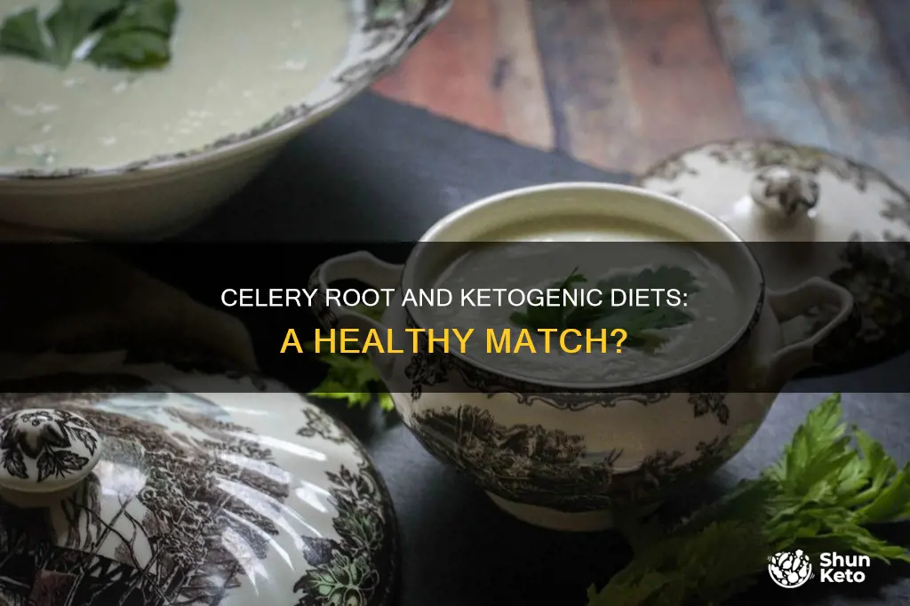 is celery root ok on the ketogenic diet