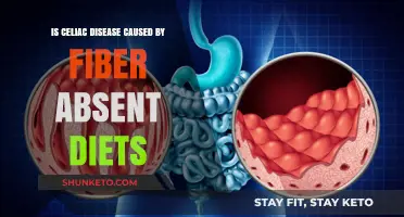 Fiber-Free Diets: A Cause of Celiac Disease?