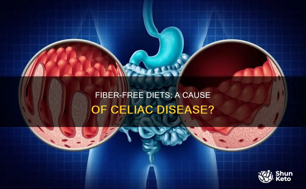 is celiac disease caused by fiber absent diets