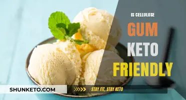 Exploring the Keto Compatibility of Cellulose Gum: A Comprehensive Guide
