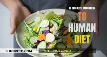 Cellulose in Human Diet: Essential or Not?